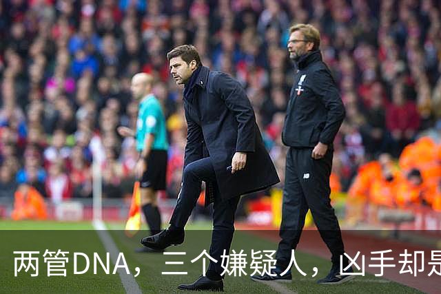 两管DNA，三个嫌疑人，凶手却是一个和死者从无交集的陌生人