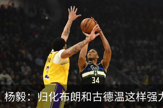 杨毅：归化布朗&古德温这样强力后卫 国家队像CBA一样解决大量问题